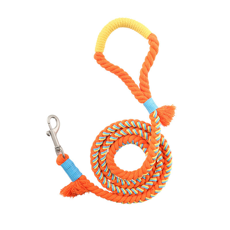 Correa clásica PAW&PET de cuerda