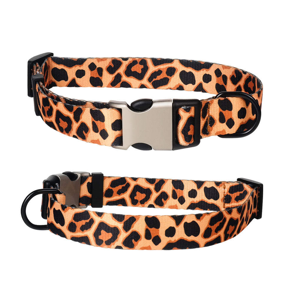 Collar personalizado PAW&PET con nombre grabado