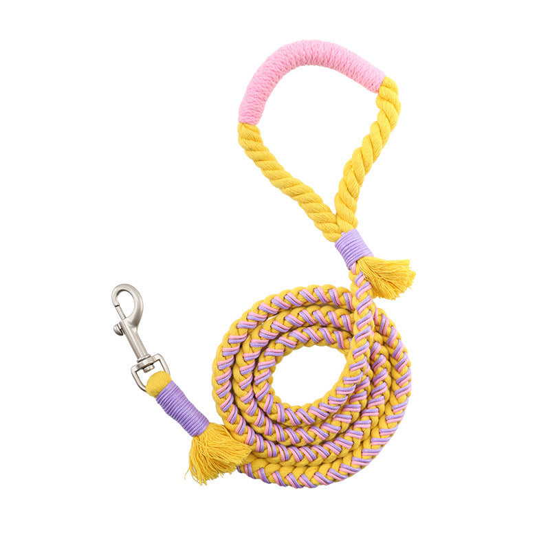 Correa clásica PAW&PET de cuerda